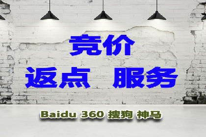 竞价推广案例：小投入大回报的成功之道